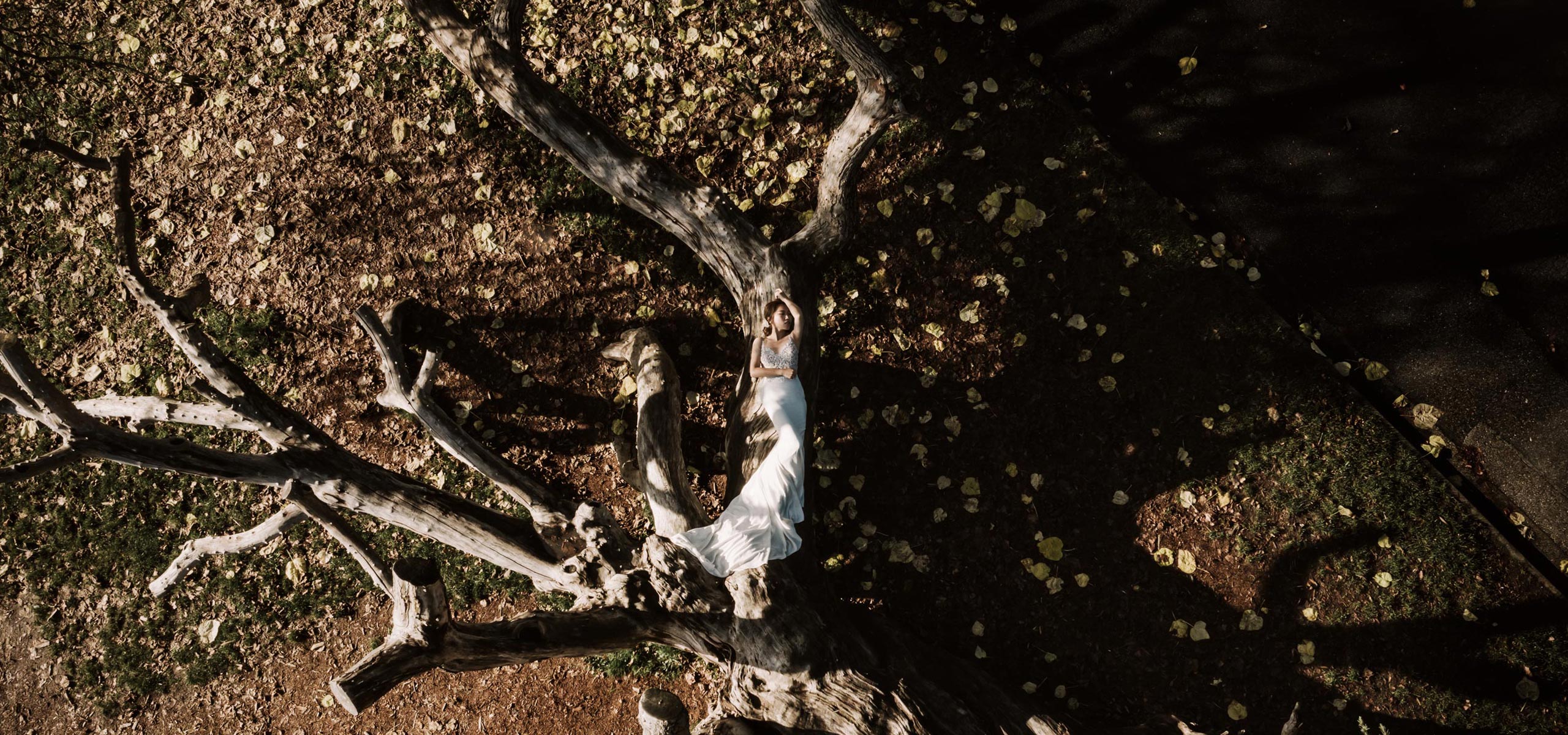 drone wedding photographer